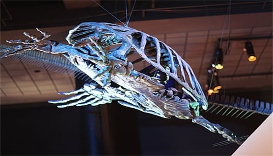 城市燃?xì)獍踩芾硪?guī)定有哪些要點(diǎn)？