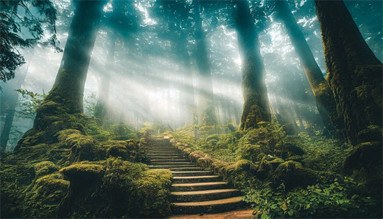 城市燃?xì)獍踩芾硪?guī)定對(duì)居民生活有何影響？