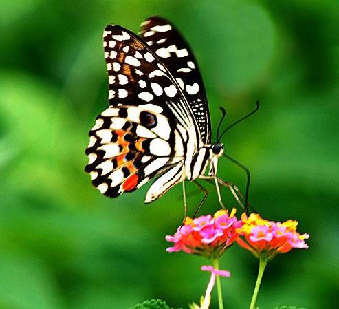 實(shí)踐HSE管理要 “危言聳聽” 實(shí)踐HSE管理要 “危言聳聽”