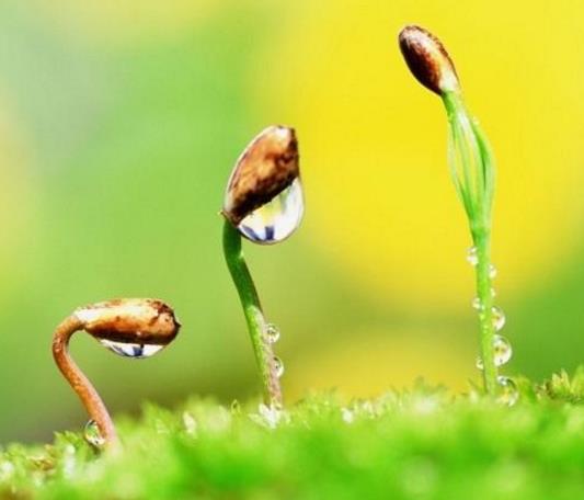 安全管理也要 “吐故納新 ” 安全管理也要 “吐故納新 ”