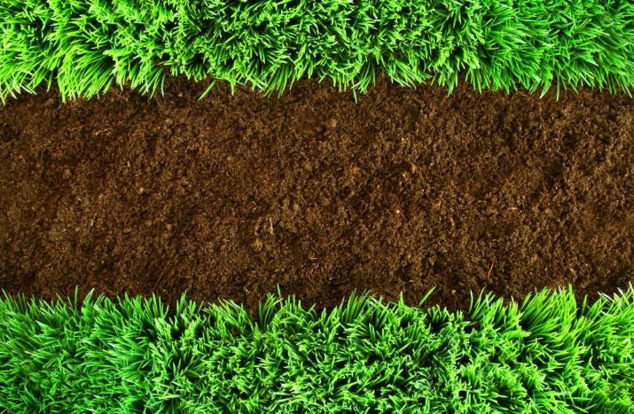 安全文化是HSE管理體系生存的土壤 安全文化是HSE管理體系生存的土壤