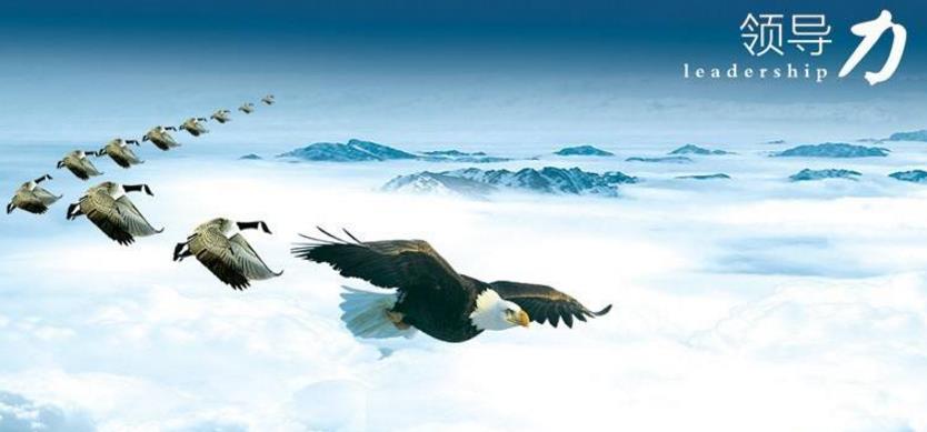 領導力的界定及表現(xiàn)形式淺述