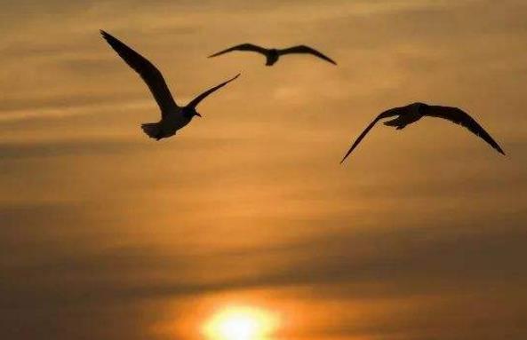 如何利用心理學(xué)做好HSE管理 如何利用心理學(xué)做好HSE管理