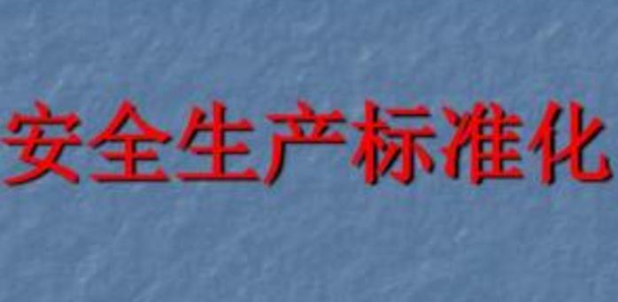 安全生產(chǎn)標(biāo)準(zhǔn)化詳述 安全生產(chǎn)標(biāo)準(zhǔn)化詳述