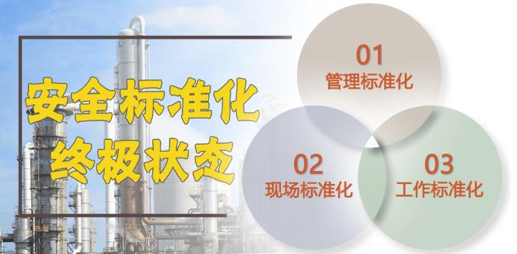安全標(biāo)準(zhǔn)化 安全標(biāo)準(zhǔn)化