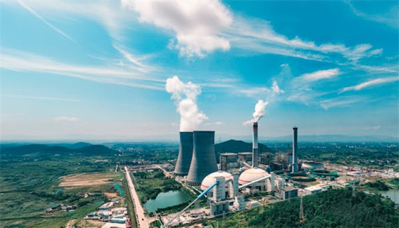 賽為安全 (47).jpg 賽為安全 (47).jpg