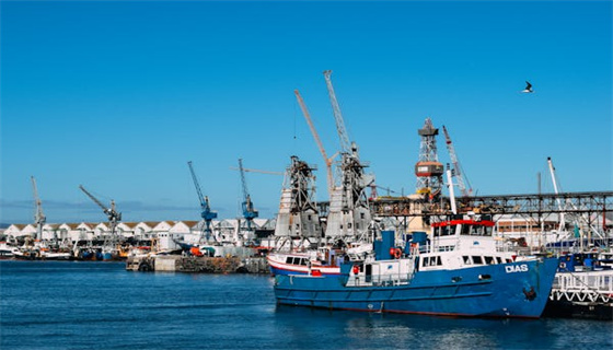 賽為安全 (3).jpg 賽為安全 (3).jpg