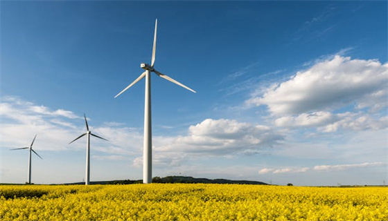 賽為安全 (43).jpg 賽為安全 (43).jpg